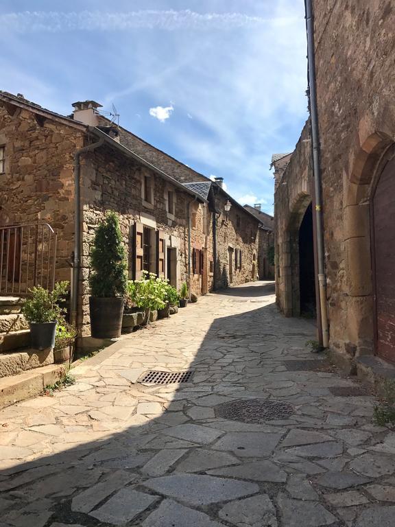 La Petite Maison Des Artistes Castelnau-Pégayrols Zimmer foto