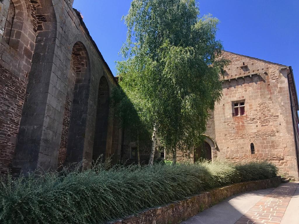 La Petite Maison Des Artistes Castelnau-Pégayrols Zimmer foto